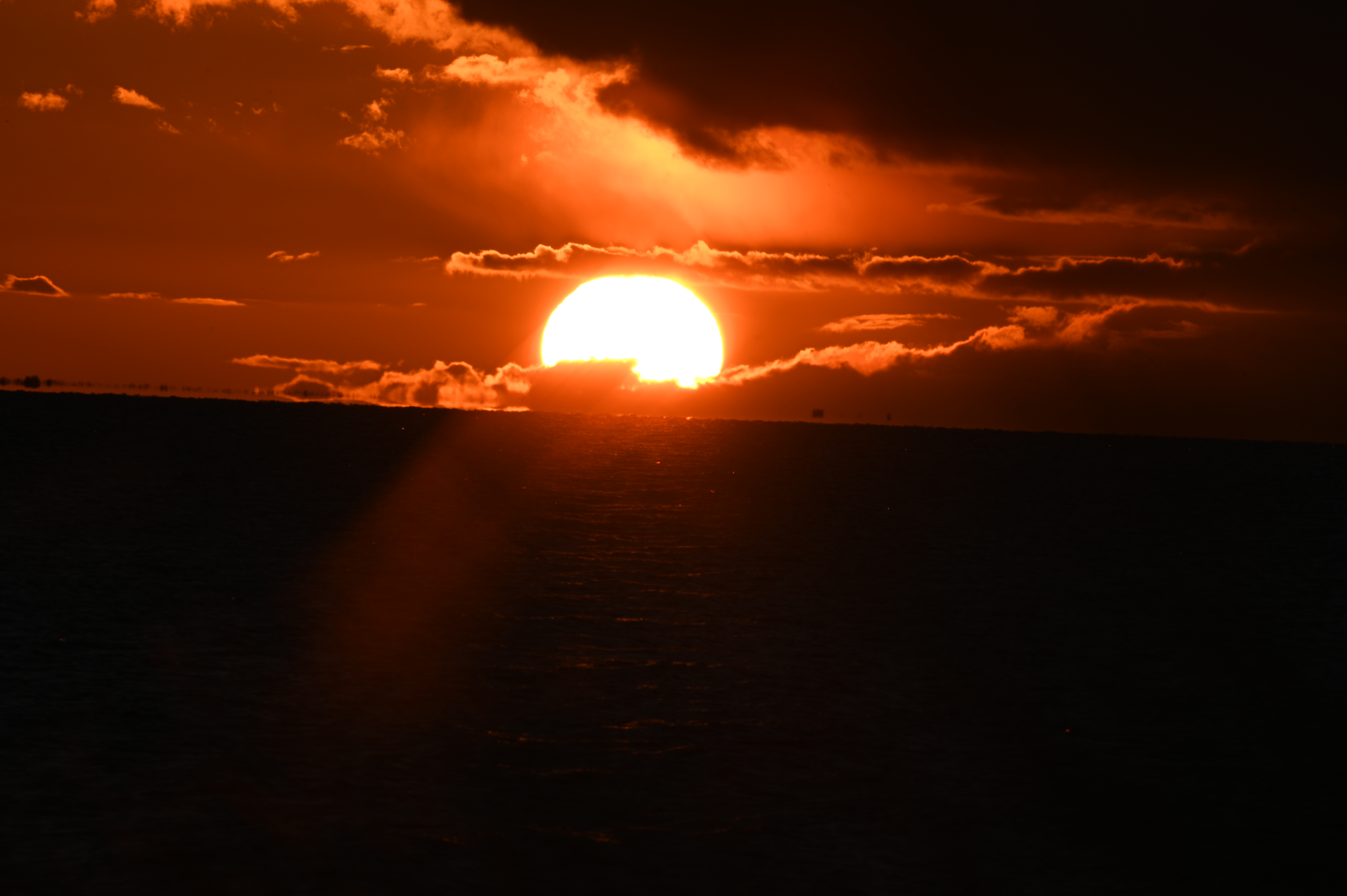 2025/10/18 - walk/DSC_0470.JPG